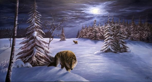 Algonquin Wolf - oil painting by Shana Talebpour