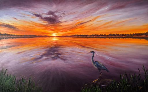Great Blue Heron - oil painting by Shana Talebpour