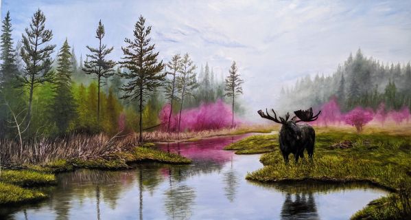 Muskoka Moose - oil painting by Shana Talebpour
