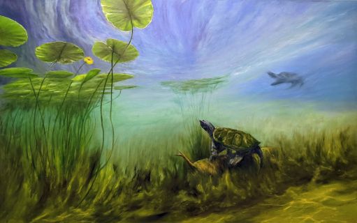 Snapping Turtle's Hidden Sanctuary - oil painting by Shana Talebpour
