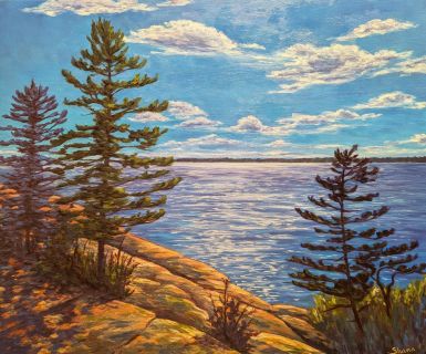 Sunlit Killbear - oil painting by Shana Talebpour