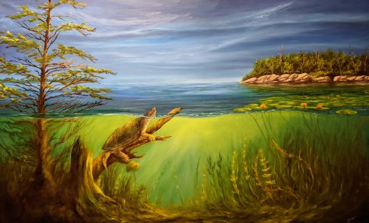The Snapping Turtle - oil painting by Shana Talebpour